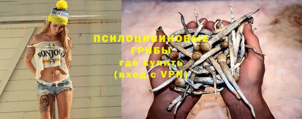 Альфа ПВП Горно-Алтайск