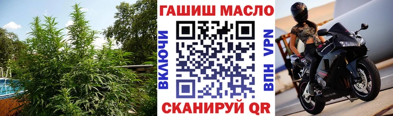 Дистиллят ТГК гашишное масло  закладки  Кохма 