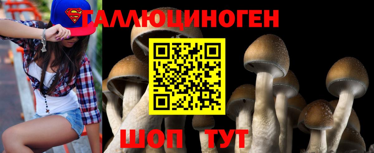 Галлюциногенные грибы Cubensis  Вход с VPN  Кохма 